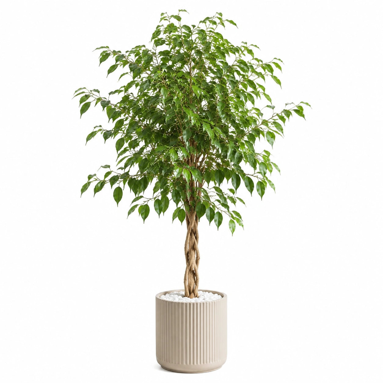 Plante artificielle ficus 180 cm feuillage synthétique vert pot en céramique style naturel intérieur