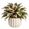 Plante verte artificielle en pot 50 cm feuillage vert rose décoratif