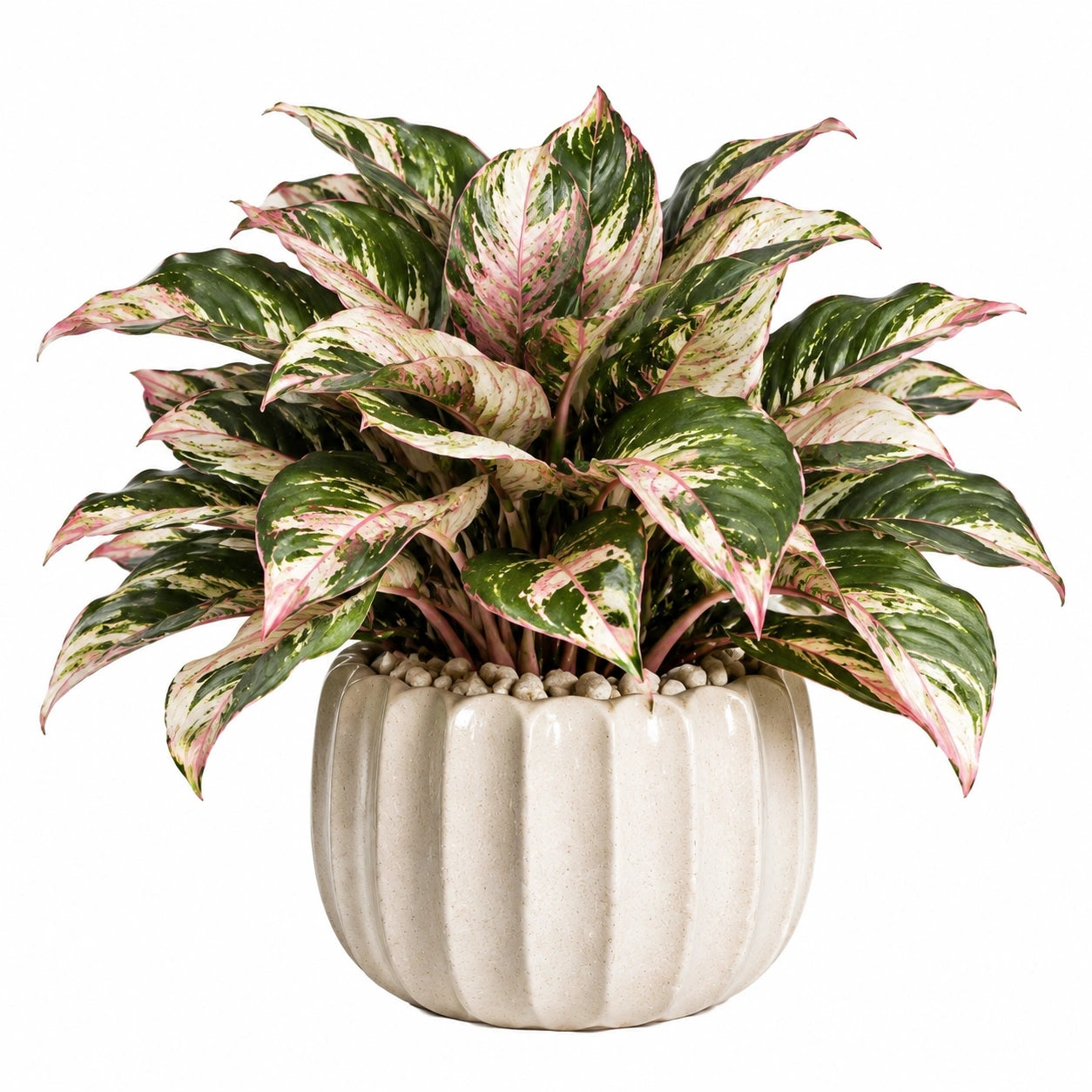 Plante verte artificielle en pot 50 cm feuillage vert rose décoratif