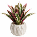 Plante verte artificielle 55 cm feuillage vert rose pot en céramique décoratif intérieur